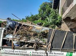 Best Construction Debris Removal  in Kingston, TN