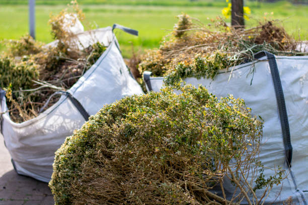 Best Garage Cleanout  in Kingston, TN